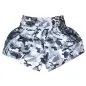 Preview: Dynamix Athletics Muay Thai Shorts Predatex - Snow Camo